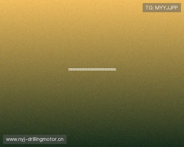 体育官网入口下载安装指南畅享官方赛事资讯与高清直播体验即刻开启